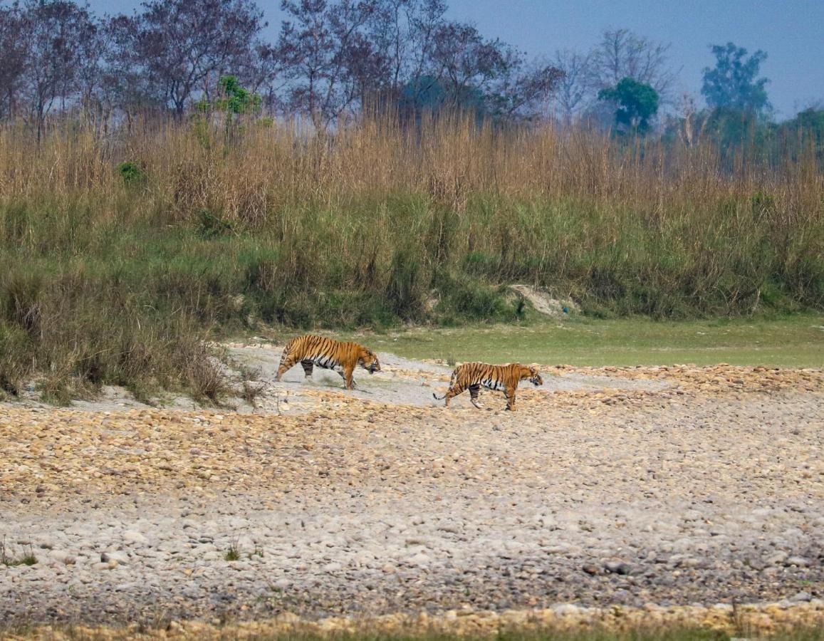 Bardiya Bardia Wildlife Resort מראה חיצוני תמונה