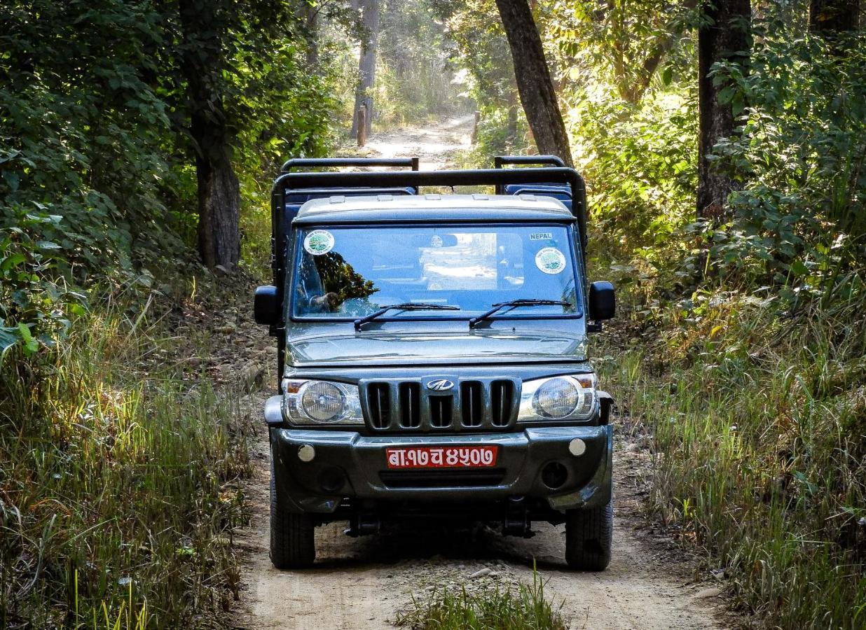 Bardiya Bardia Wildlife Resort מראה חיצוני תמונה