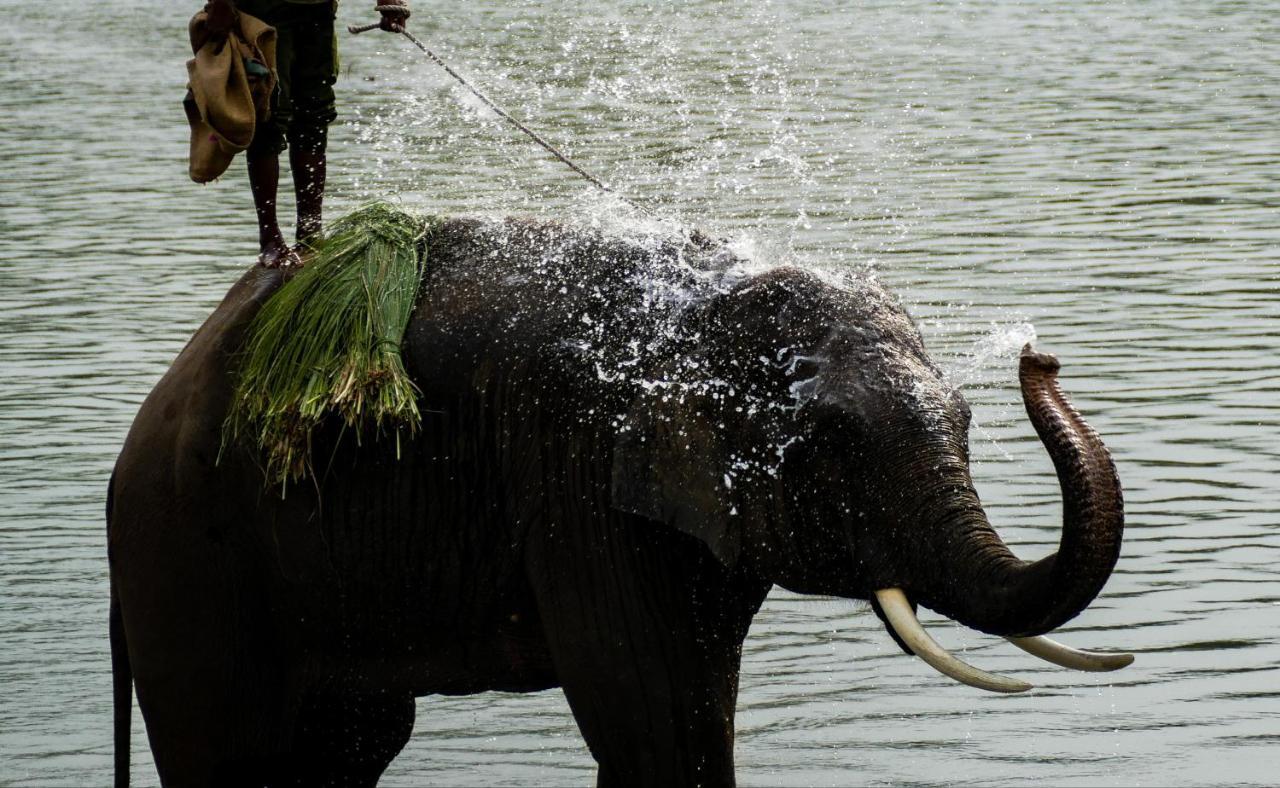 Bardiya Bardia Wildlife Resort מראה חיצוני תמונה