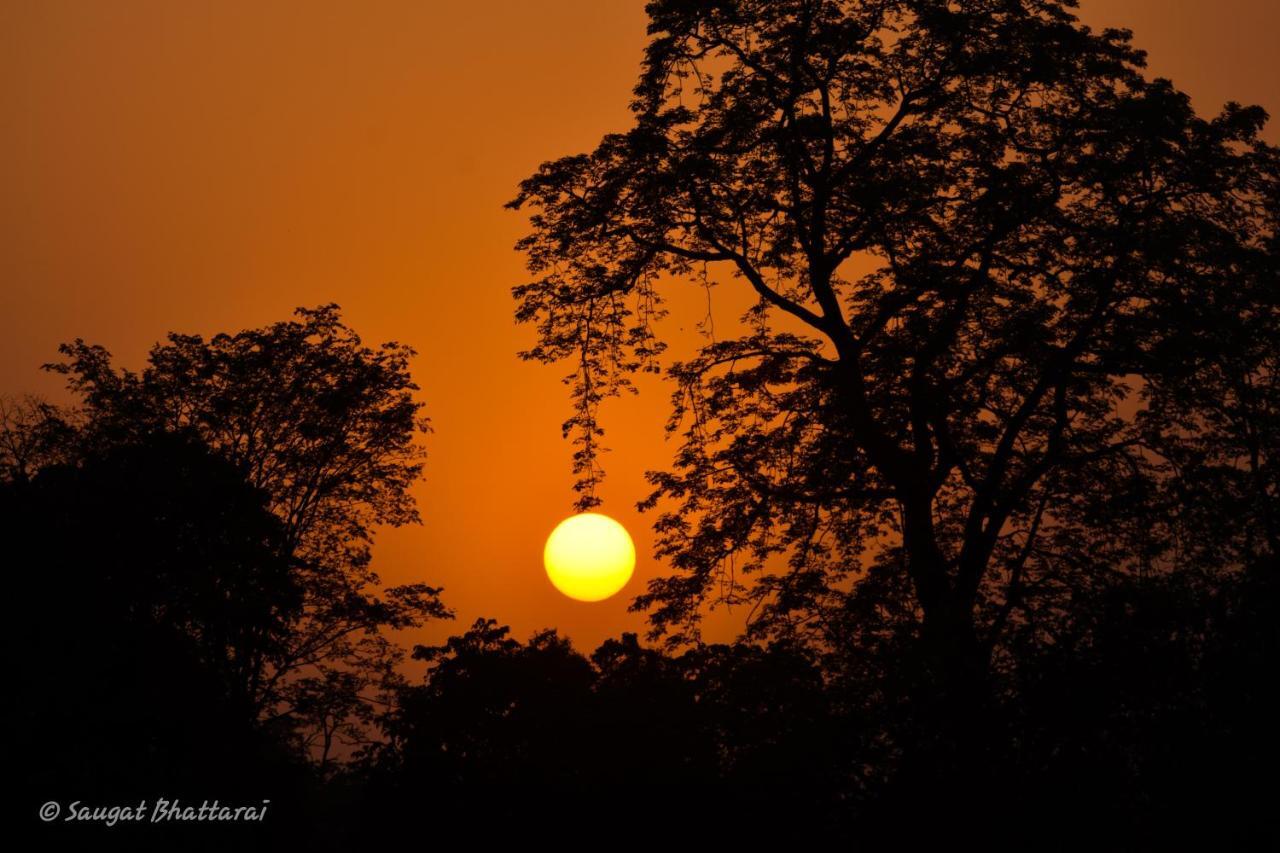 Bardiya Bardia Wildlife Resort מראה חיצוני תמונה